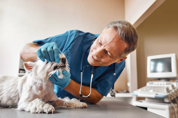  Winchester, TN Emergency Dentist Pros